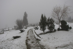 20080142_20080512_1654717727